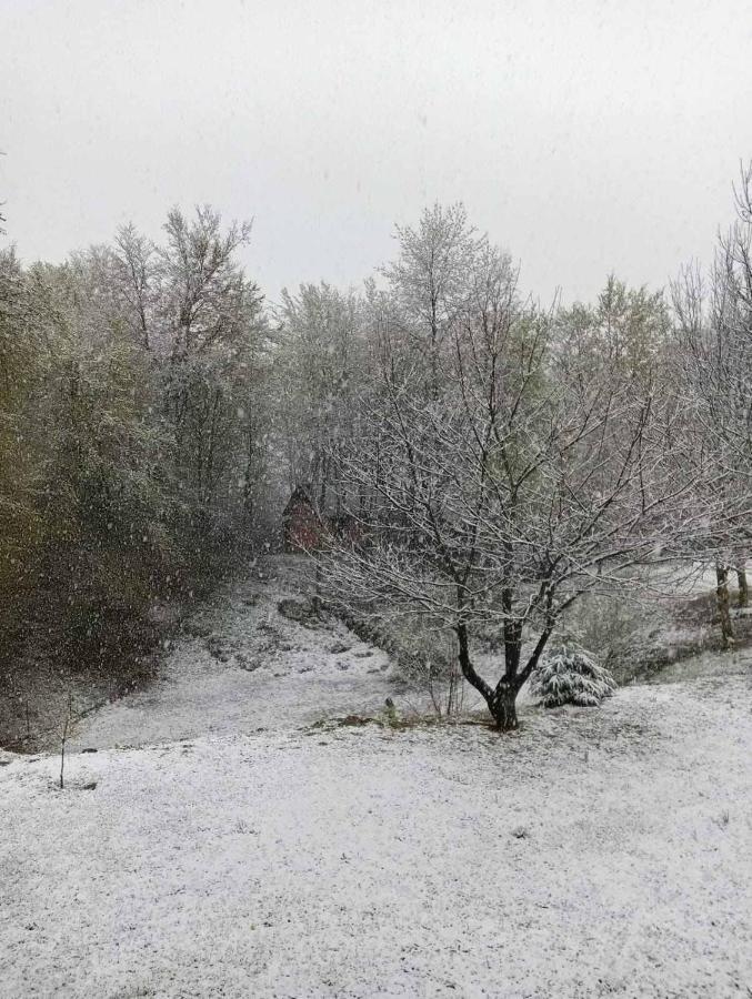 스몰리야나크 Plitvice Oaza Mira 빌라 외부 사진