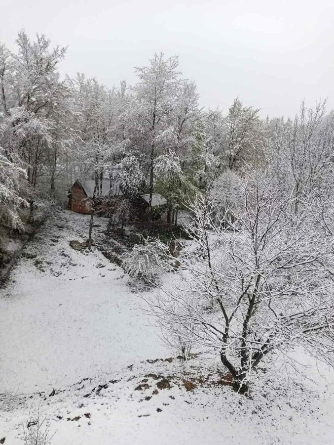 스몰리야나크 Plitvice Oaza Mira 빌라 외부 사진