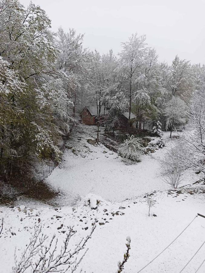 스몰리야나크 Plitvice Oaza Mira 빌라 외부 사진