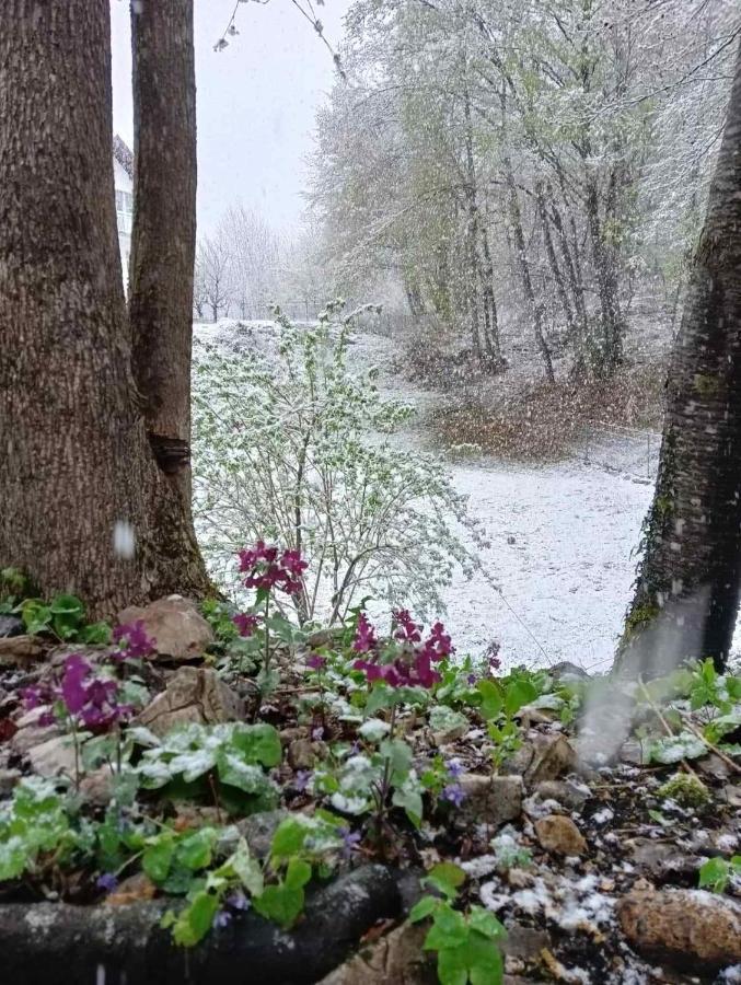 스몰리야나크 Plitvice Oaza Mira 빌라 외부 사진